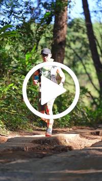 BIB:  <button type="button" onclick="openModal(26787831)" class="btn btn-primary btn-sm float-right" data-toggle="modal" data-target=".modal-high-quality">
                <i class="fa fa-download"></i> Download
                </button>